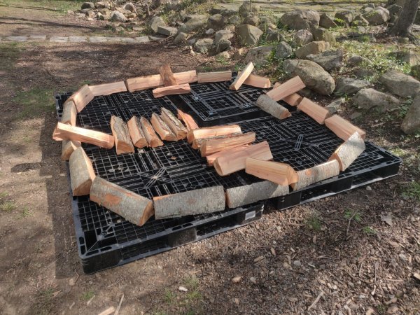 2022-04-21 10.09.19.jpg