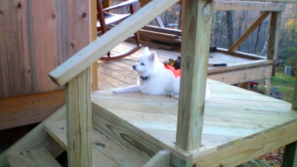 100_0029.JPG