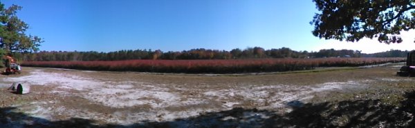 2014-10-25_10-43-23.jpg