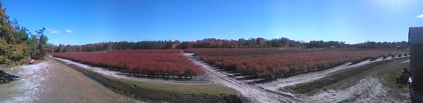 2014-10-26_10-49-30.jpg