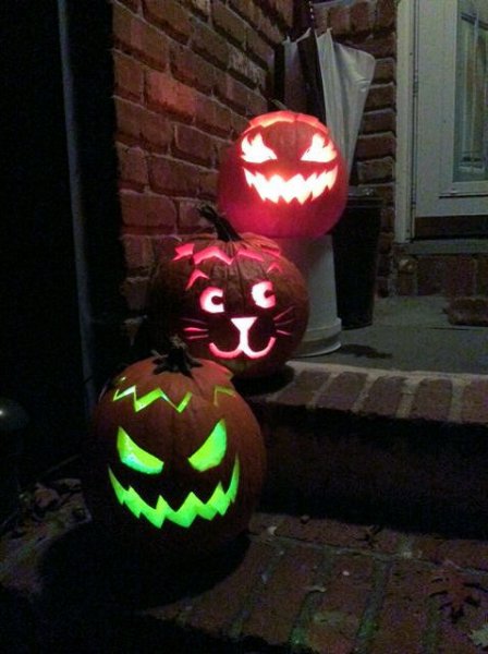 pumpkins2014.jpg