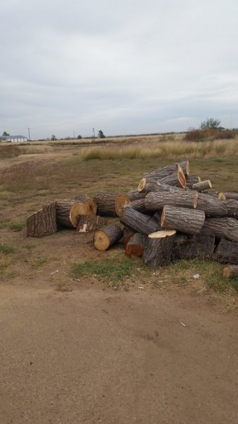 20141027_135705.jpg