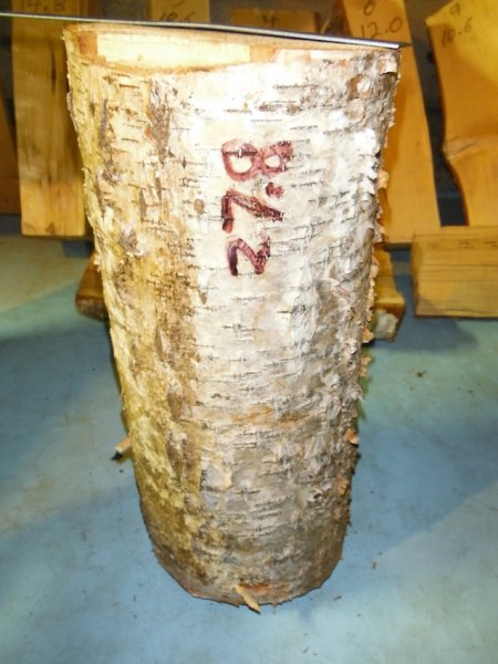 DSCF4142.JPG