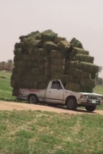 Hay overload.jpg