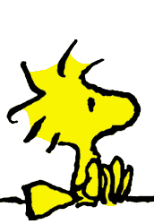 34AD3467-6F7C-445B-A388-CCAA83649F2F.gif