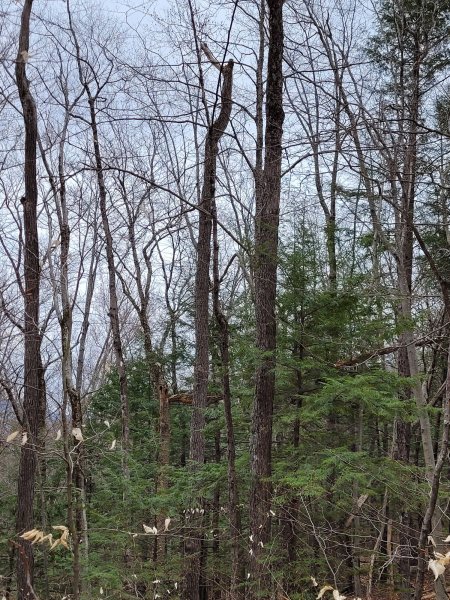 20220426_133002.jpg