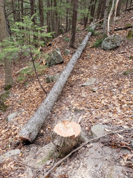 20220426_134017.jpg