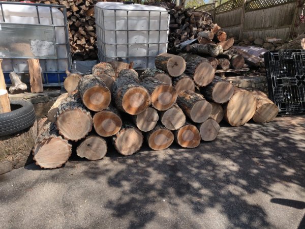 2022-04-29 14.47.52.jpg