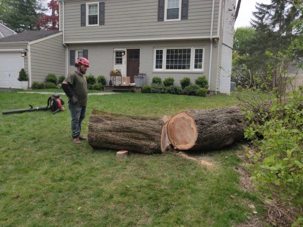 2022-05-04 15.33.25.jpg