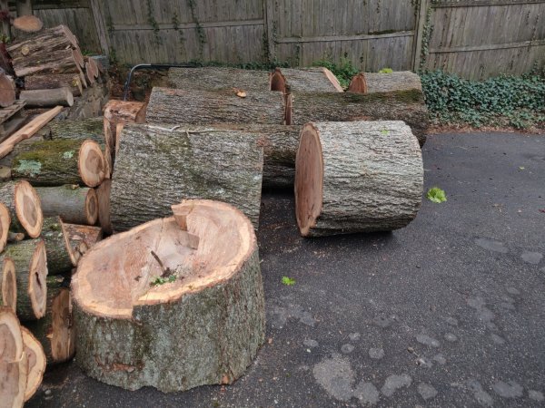 2022-05-04 15.09.17.jpg