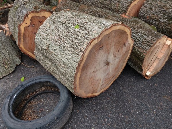 2022-05-04 15.15.48.jpg