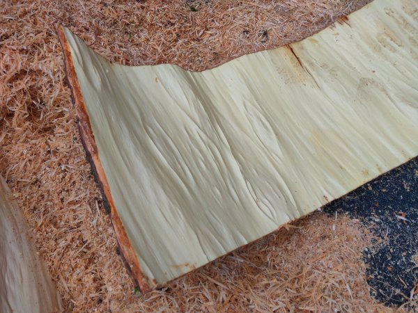 2022-05-04 16.03.41.jpg