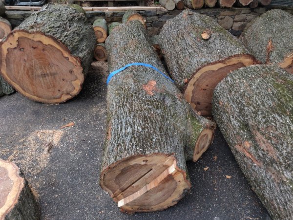 2022-05-04 16.58.35.jpg