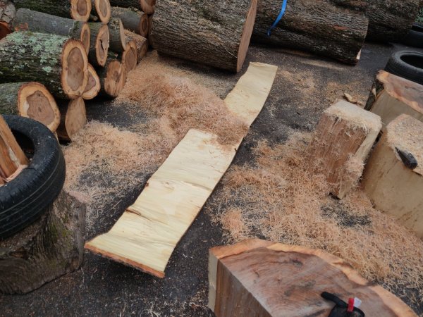 2022-05-04 17.31.52.jpg