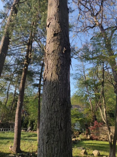 2022-05-05 07.17.58.jpg