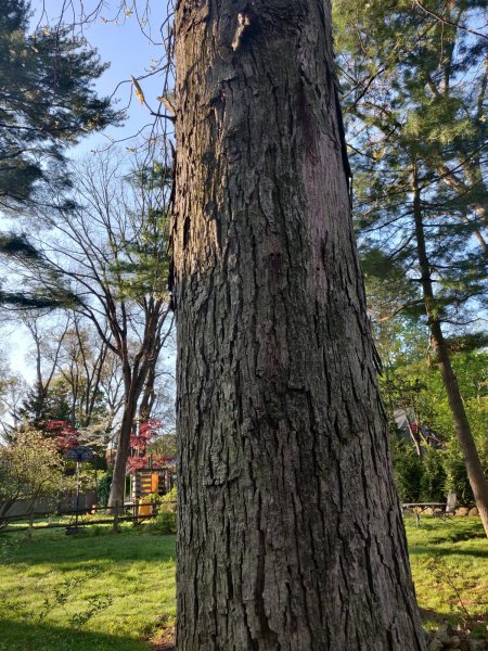 2022-05-05 07.18.07.jpg