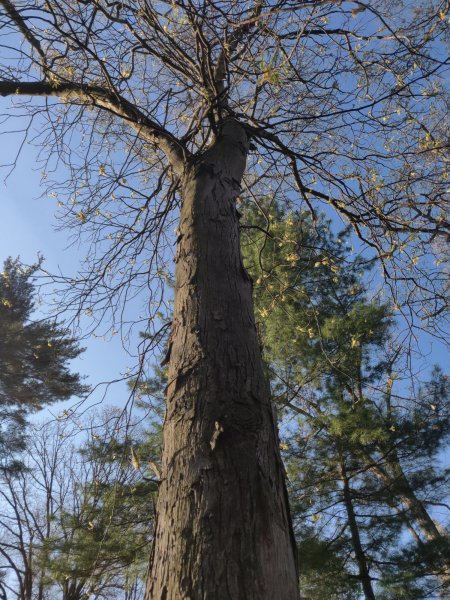 2022-05-05 07.18.10.jpg