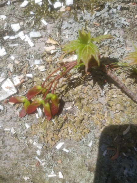20220509_144531.jpg