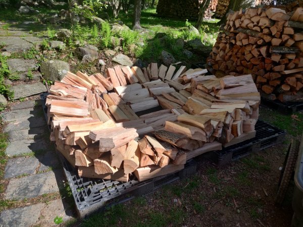 2022-05-09 15.58.57.jpg