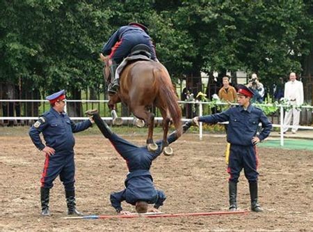 Horse jump.jpg