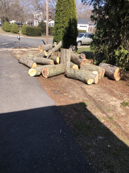 logs1.jpg