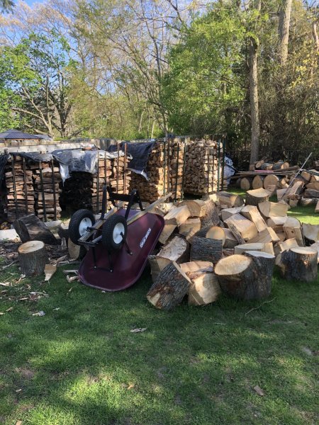 logs3.jpg