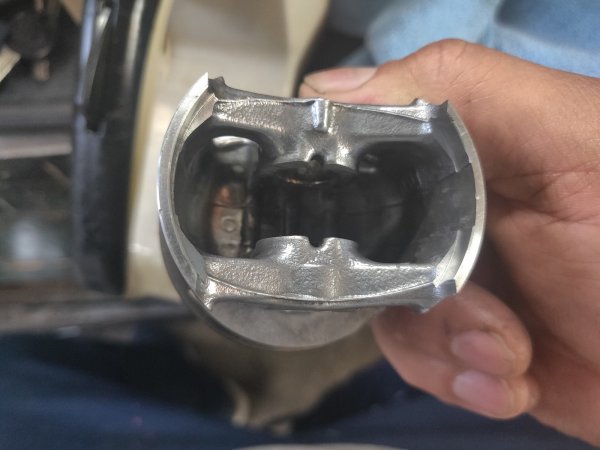 2022-05-16 17.52.25.jpg