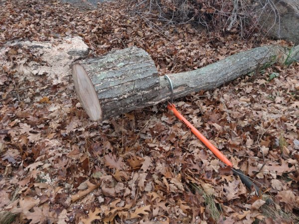 2020-12-02 13.14.57.jpg