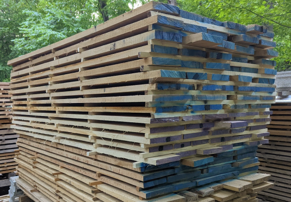 WhiteOak(1).png