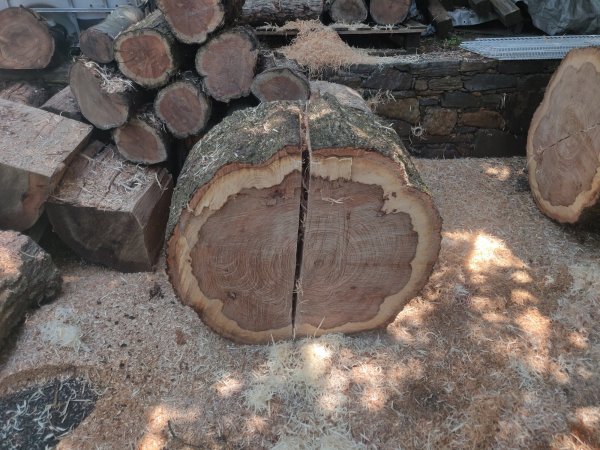 2022-05-21 13.06.23.jpg