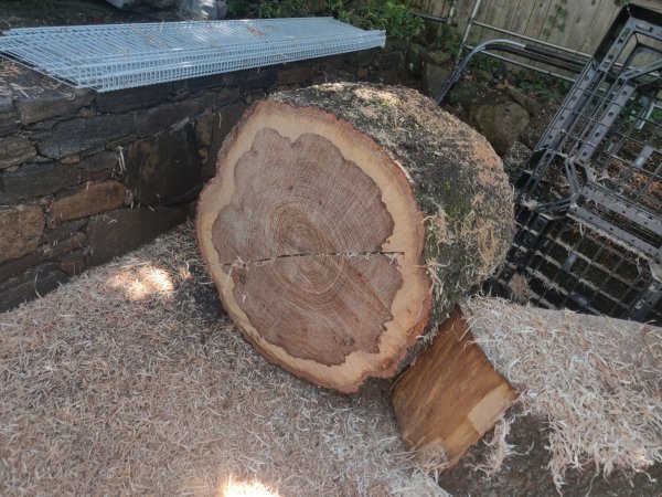 2022-05-21 13.06.29.jpg