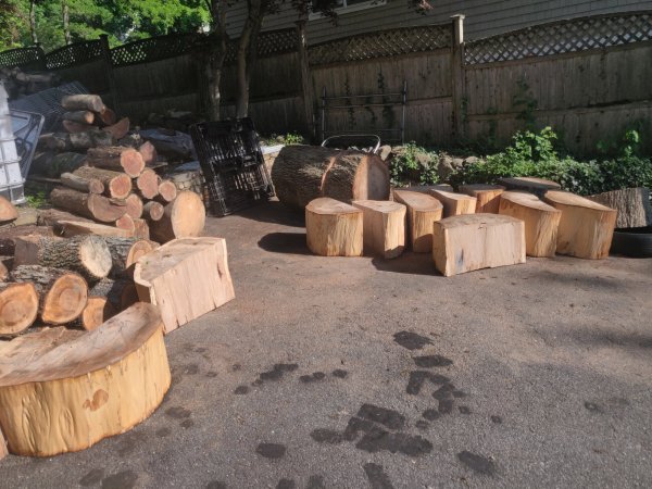 2022-05-21 17.14.10.jpg