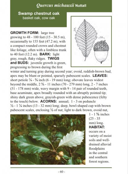 page 60.jpg