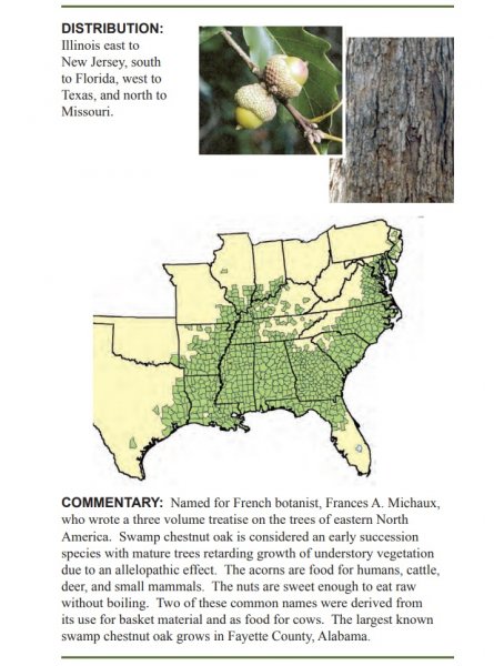 page 61.jpg