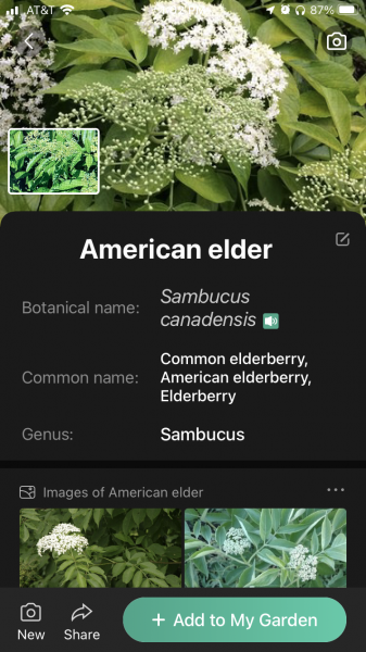 181509F9-52AF-4009-9A3B-1E0AF47DE417.png