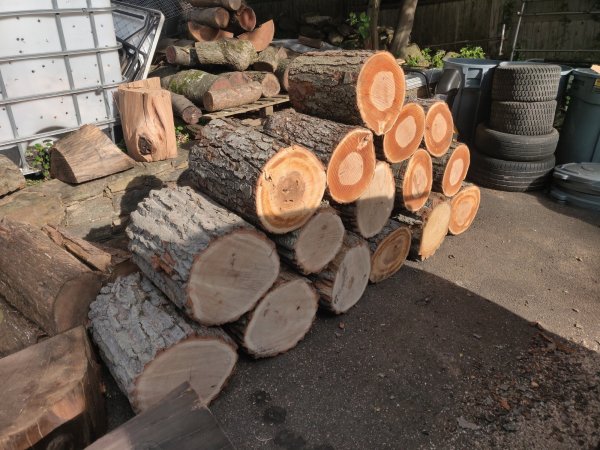 2022-06-06 17.57.49.jpg