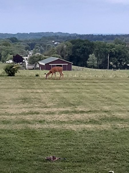 20220606_195928.jpg
