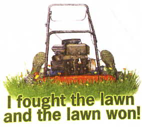 Lawn won.JPG