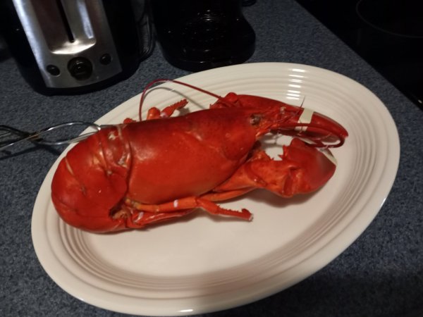 IMG_20220618_151202.jpg