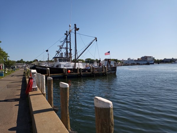 IMG_20220621_085003.jpg