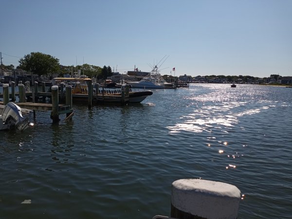 IMG_20220621_085814.jpg