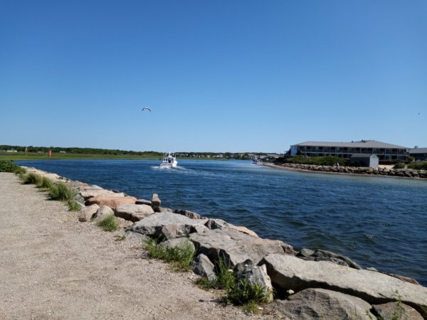 IMG_20220621_093824.jpg
