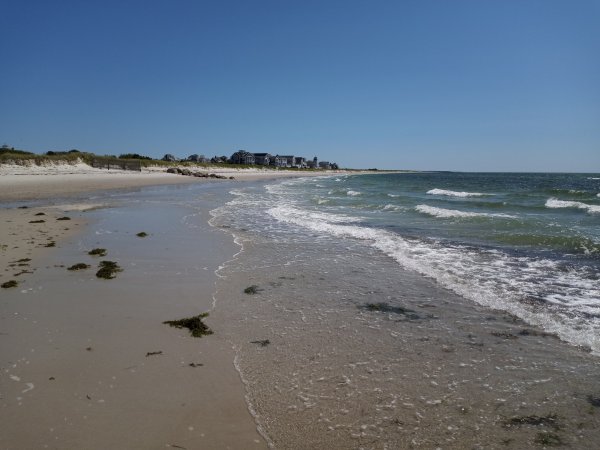 IMG_20220621_103518.jpg