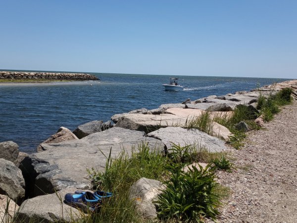 IMG_20220621_124713.jpg