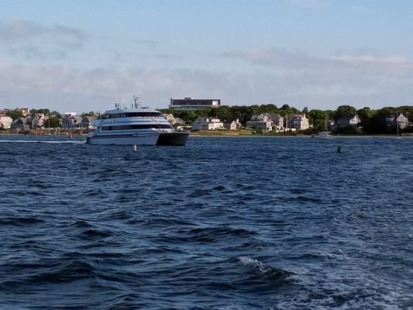 IMG_20220622_080823.jpg