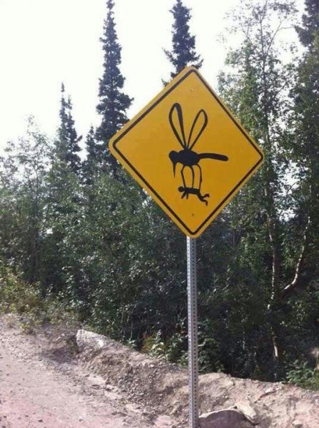 Mosquito sign.jpg