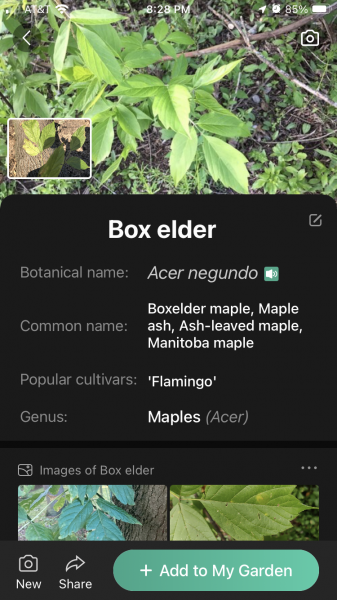 49F0E60D-14D6-4FF7-B4C0-80ABA8300F64.png