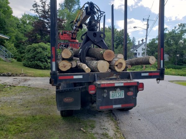 lumber truck loaded back.jpg