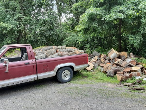 Firewood score at Nockamixon.jpg