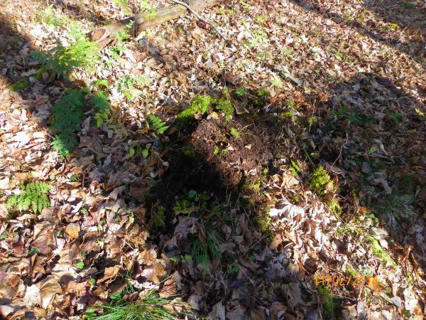 101_0303.JPG